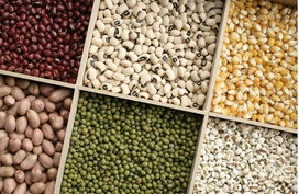 深耕谷物銷售 企業供求平臺助力產業鏈協同發展