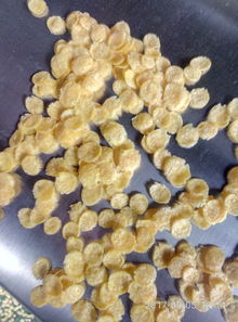 供應(yīng)谷物膨化新利器 2mm-50mm圓球膨化機(jī)批發(fā)銷售全解析